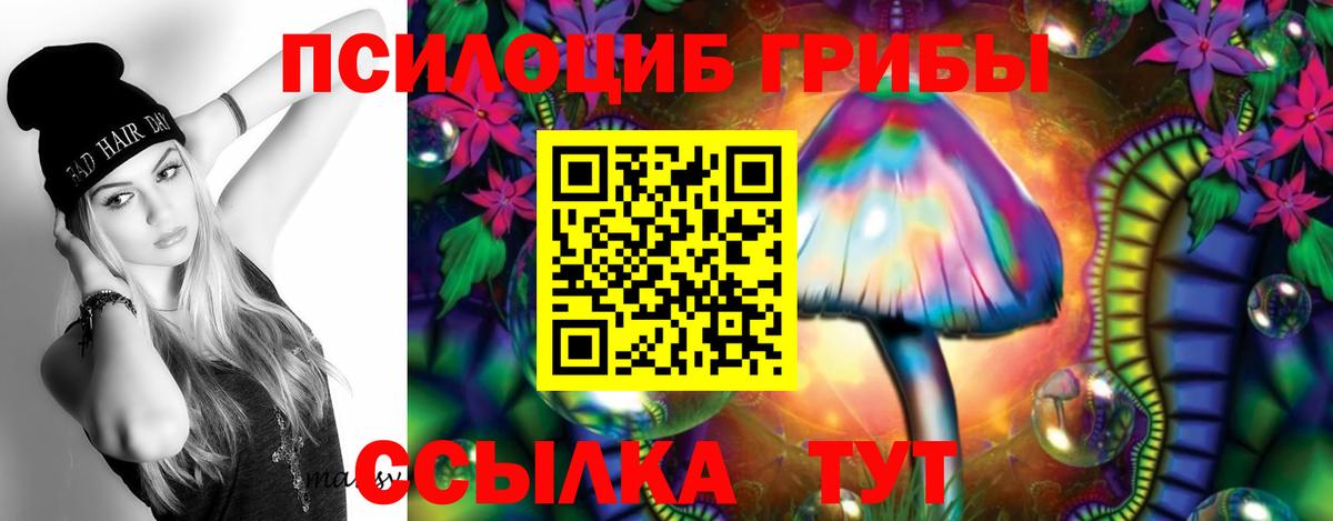 Псилоцибиновые грибы прущие грибы  дарнет шоп  Вход с VPN  Михайловск  Галлюциногенные грибы Psilocybine cubensis 